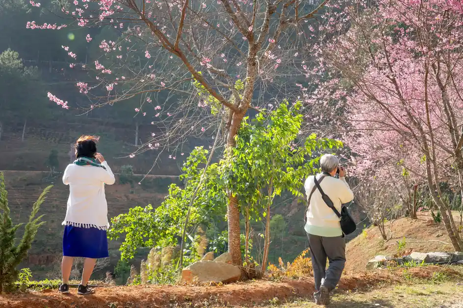 April to June: Green Season with Fewer Tourists