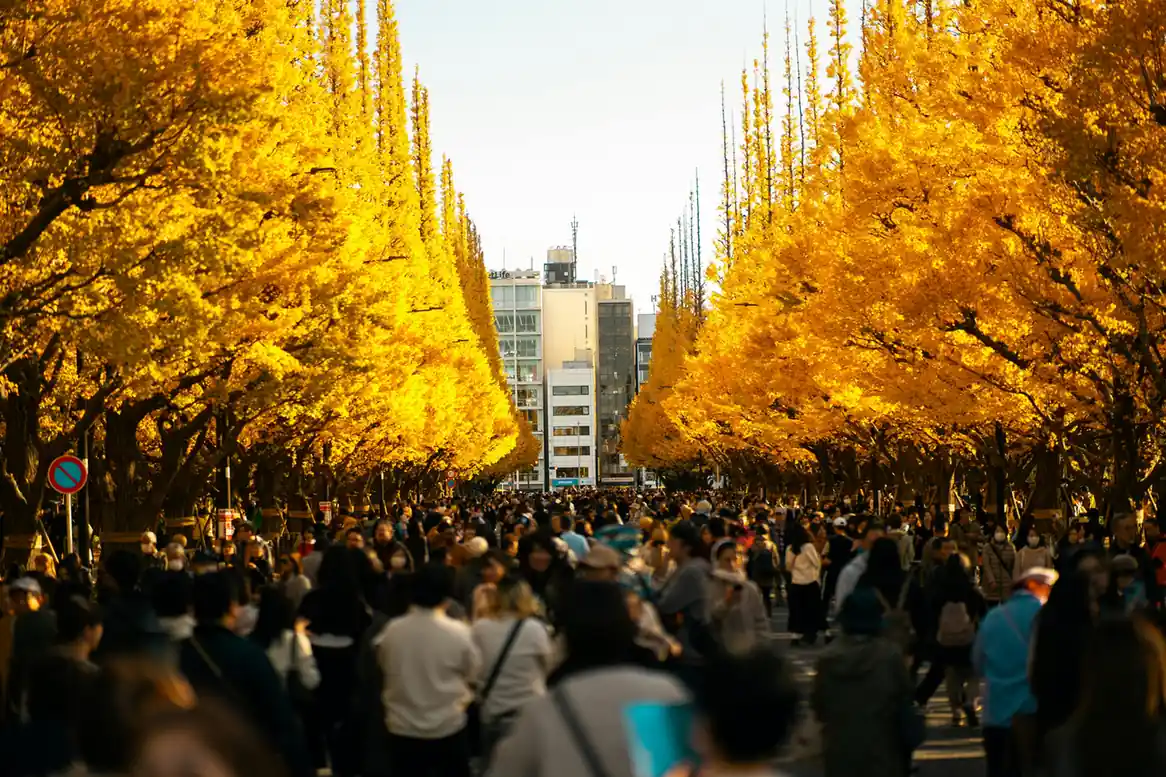 Autumn (March to May) – Scenic Beauty and Fewer Crowds