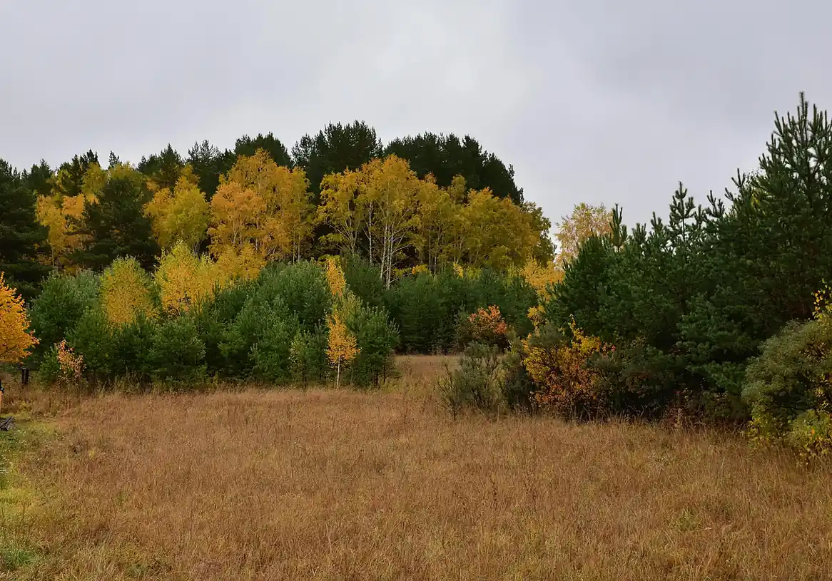 Autumn (September to November)