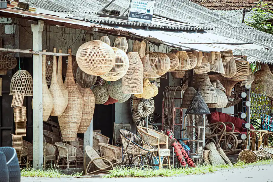 Cane and Rattan Crafts