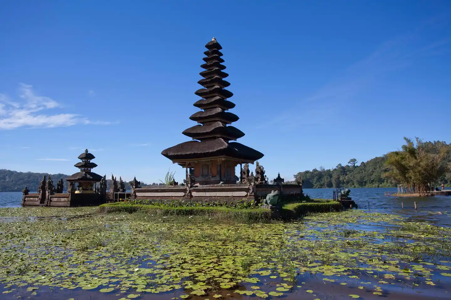5 Days in Bali