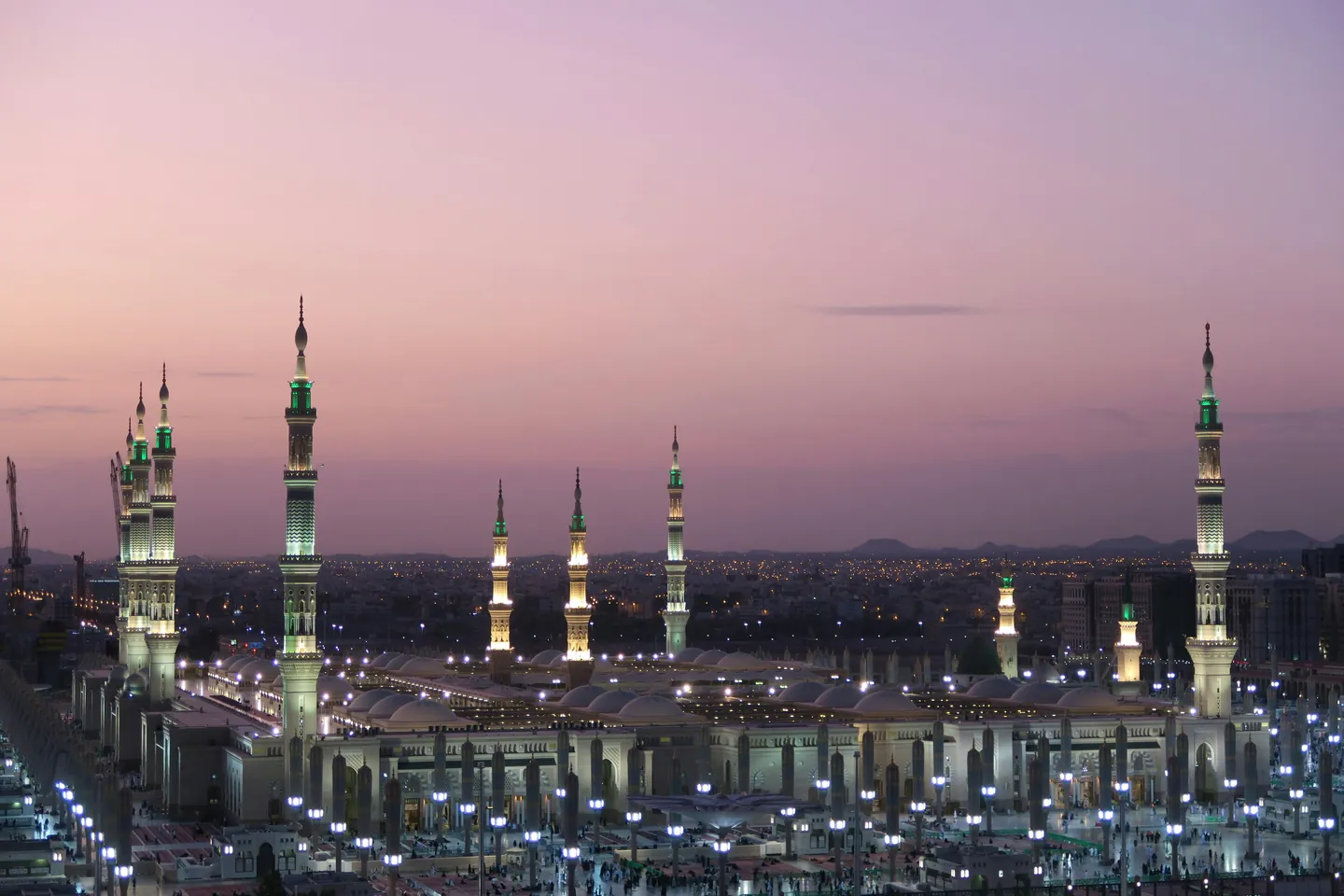 7 Days in Saudi Arabia