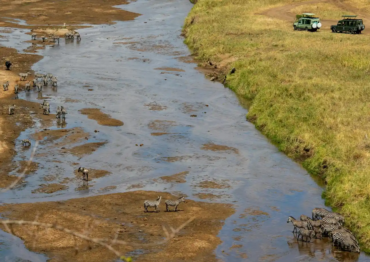 Full-Day Safari in Masai Mara