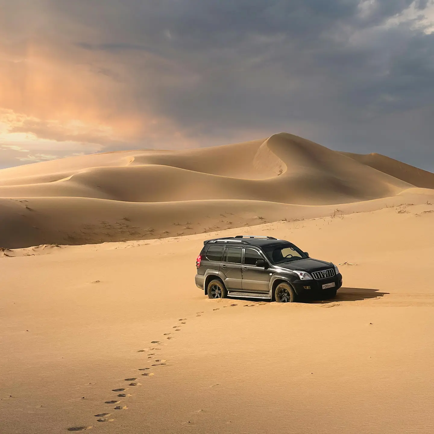 Khongor Sand Dunes – Gobi’s Golden Giants