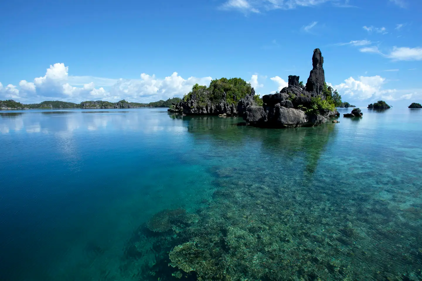 Coral Island Tour – A Tropical Escape