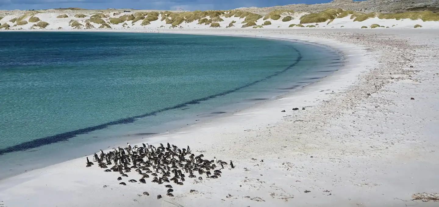 East Coast – Île aux Cerfs Island