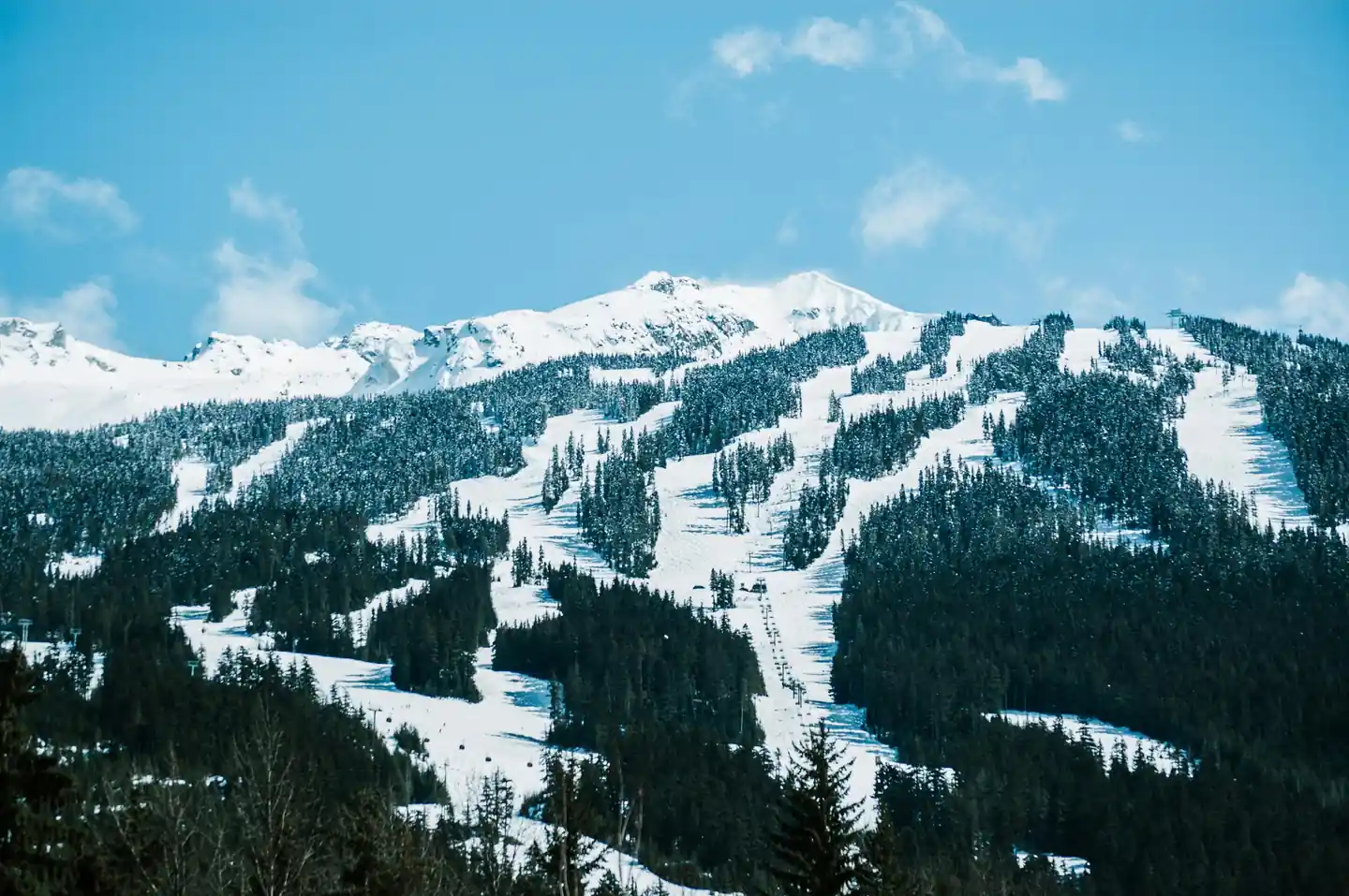 Day Trip to Whistler or Victoria
