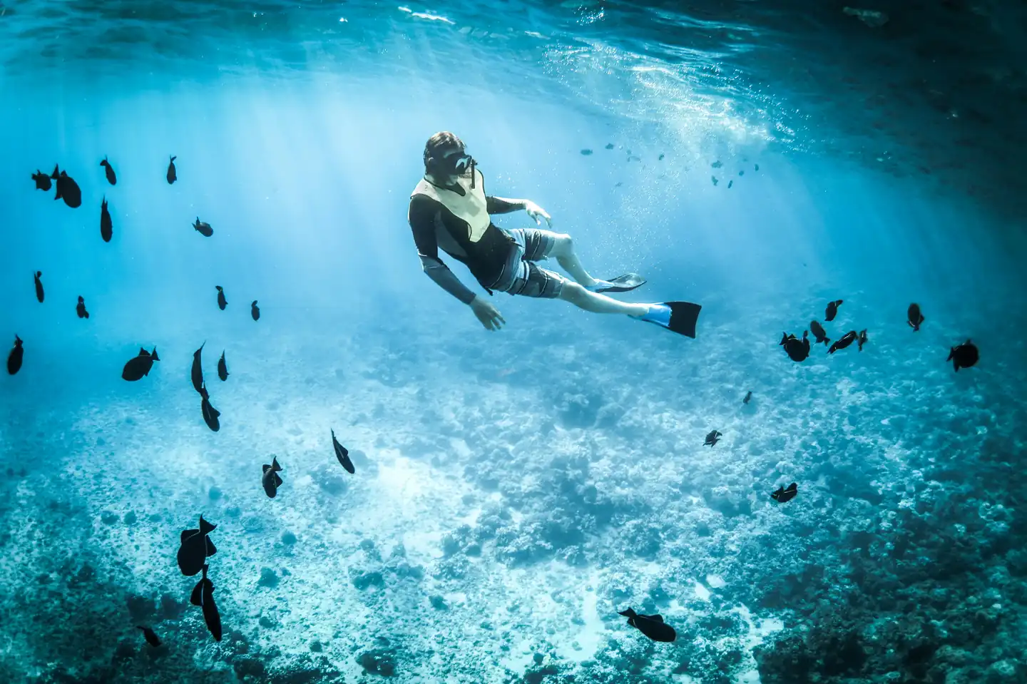 A family snorkeling, fishing, and riding a banana boat in Musandam's clear turquoise water, with colorful parrotfish and angelfish visible below the surface.