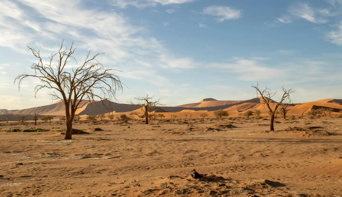 Dry Season (October – May): Ideal for Sightseeing and Exploration