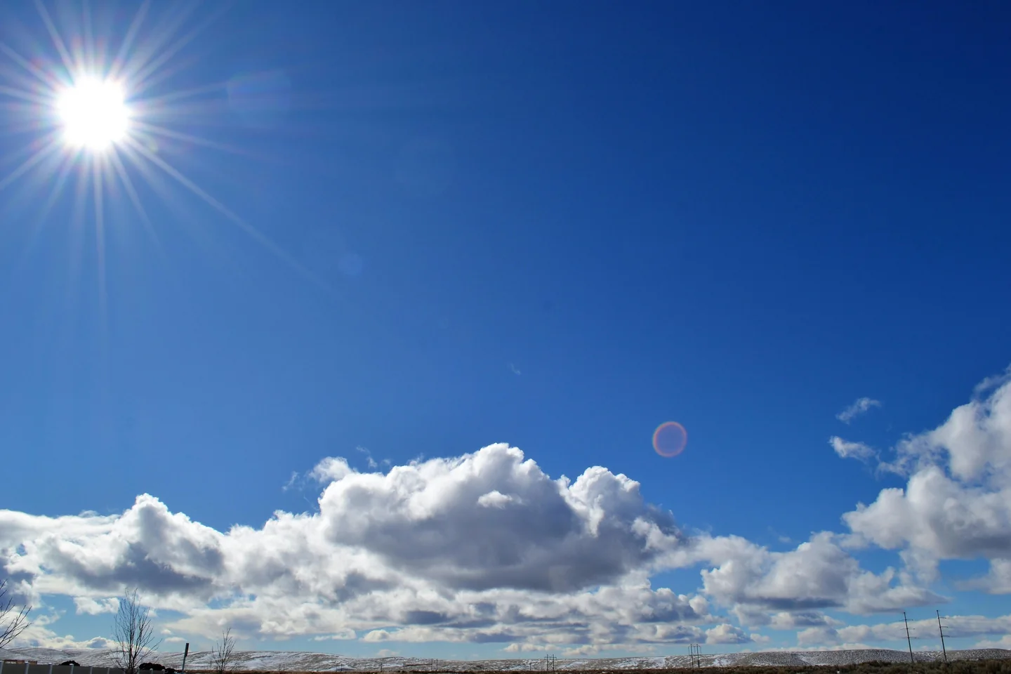 Endless Sunshine and Blue Skies