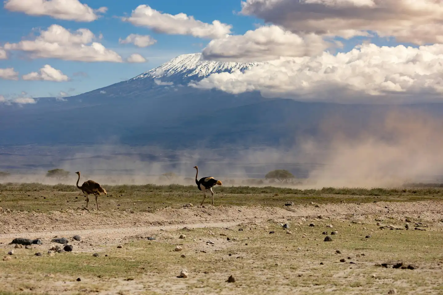 Equator Runs Through Kenya