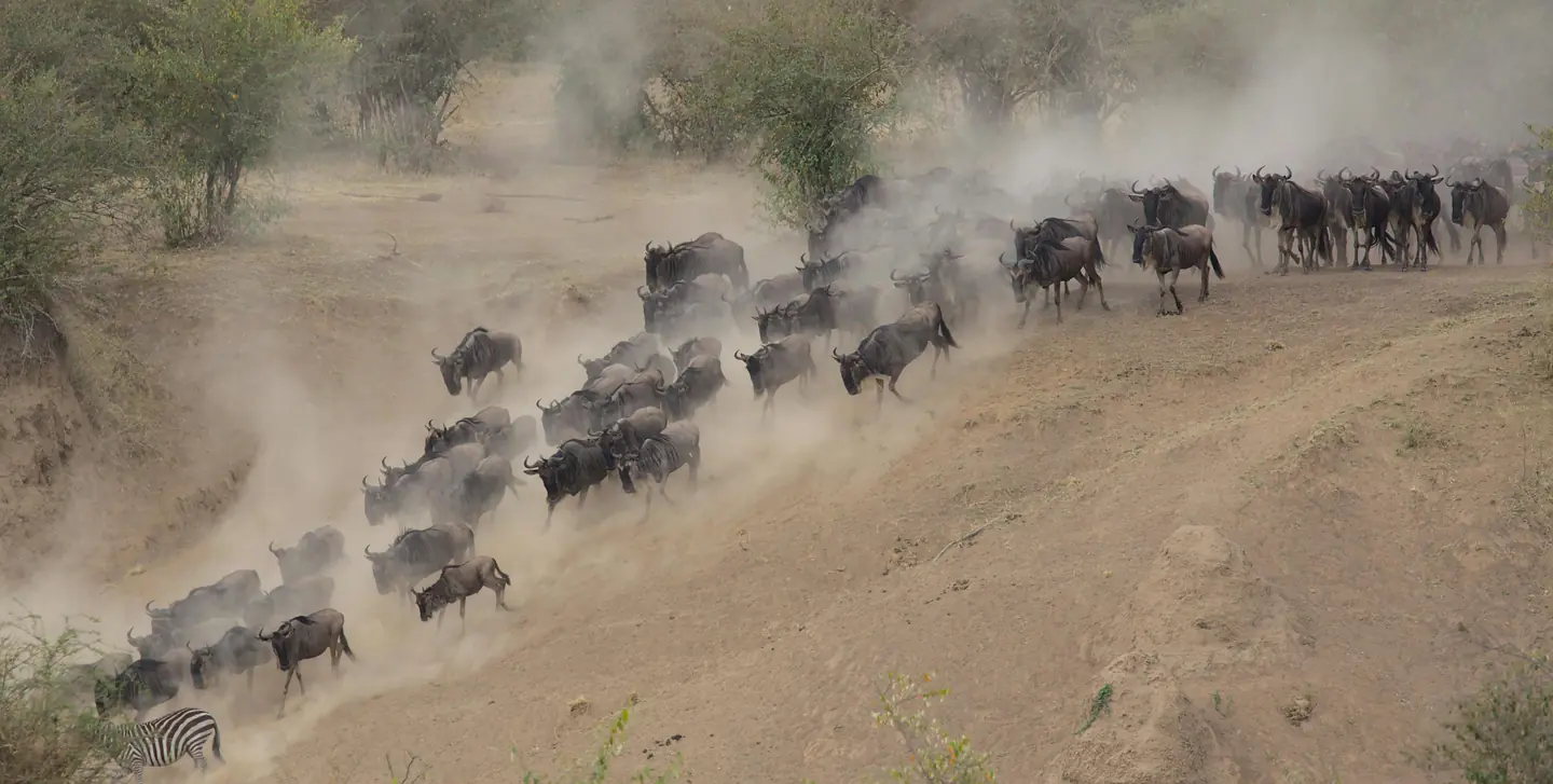 Interesting Facts About Kenya