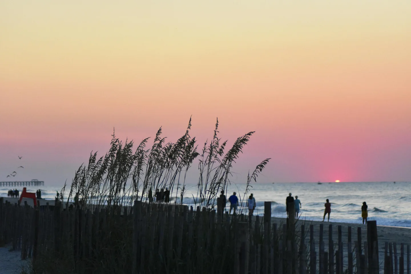 Myrtle beach with beach bliss