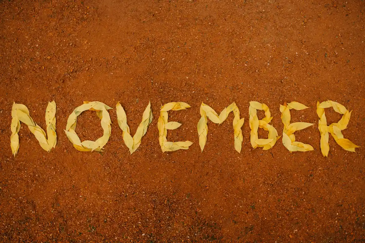 November to December: Short Rains and Festive Vibes