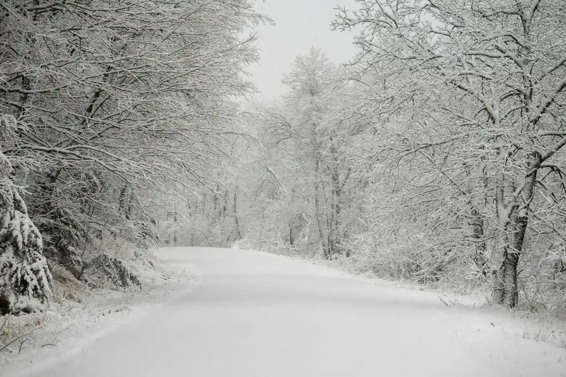 Snowy Winter (December – February) & Northern Lights