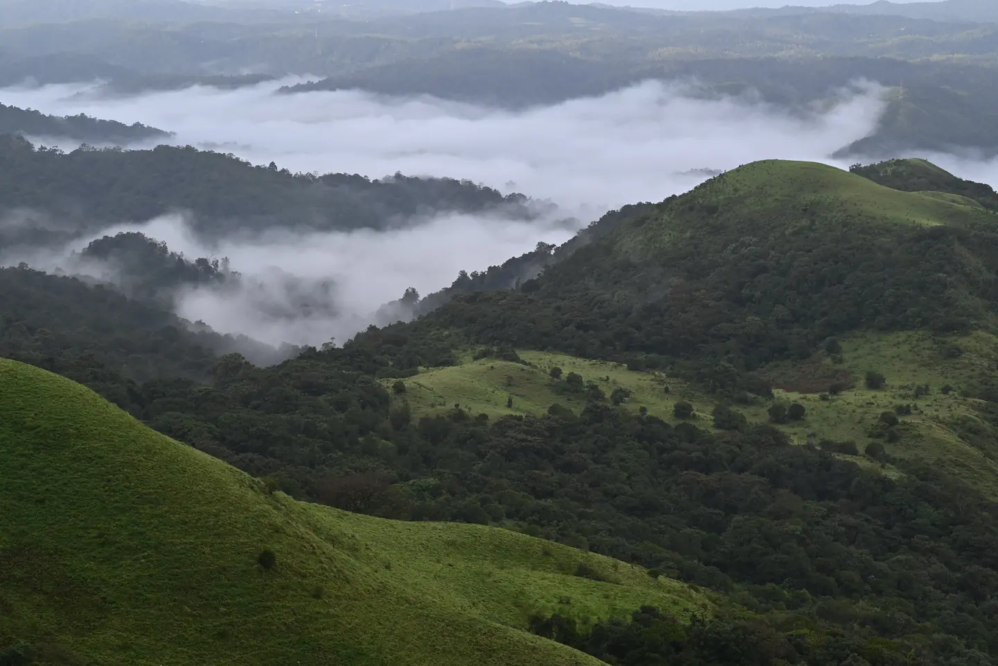Top 10 Amazing Places to Visit in Coorg for Nature Lovers
