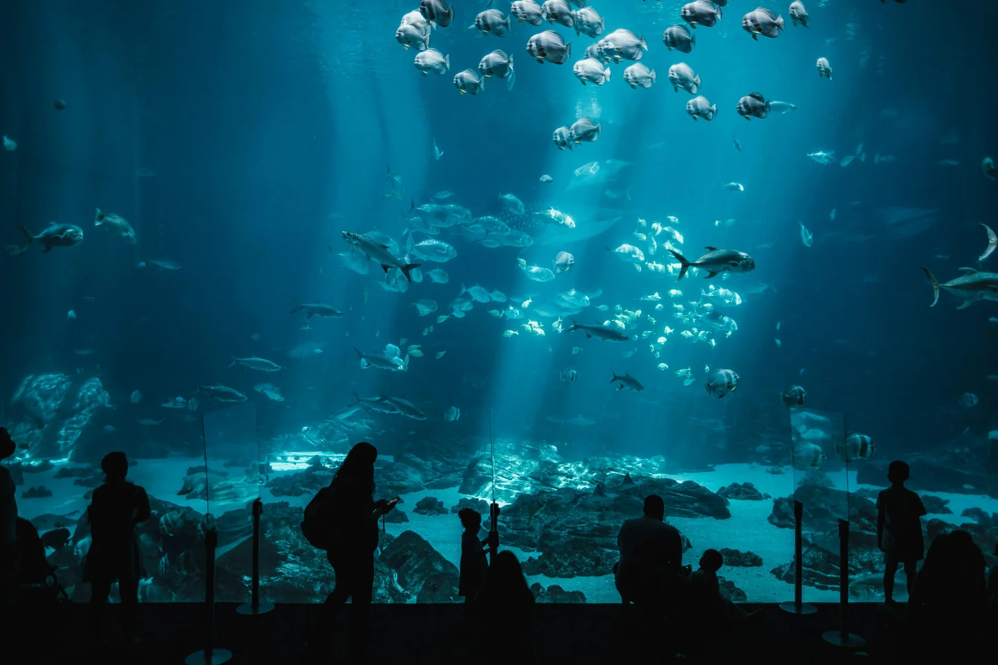 Aquariums in the UAE