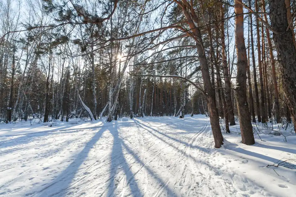 Winter (December – February): A Wonderland of Experiences