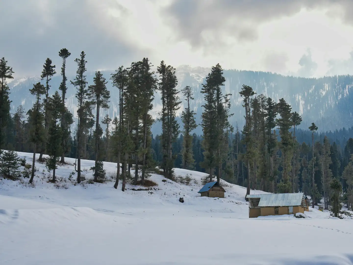 Winter (December to February): A Hidden Gem for Offbeat Travelers