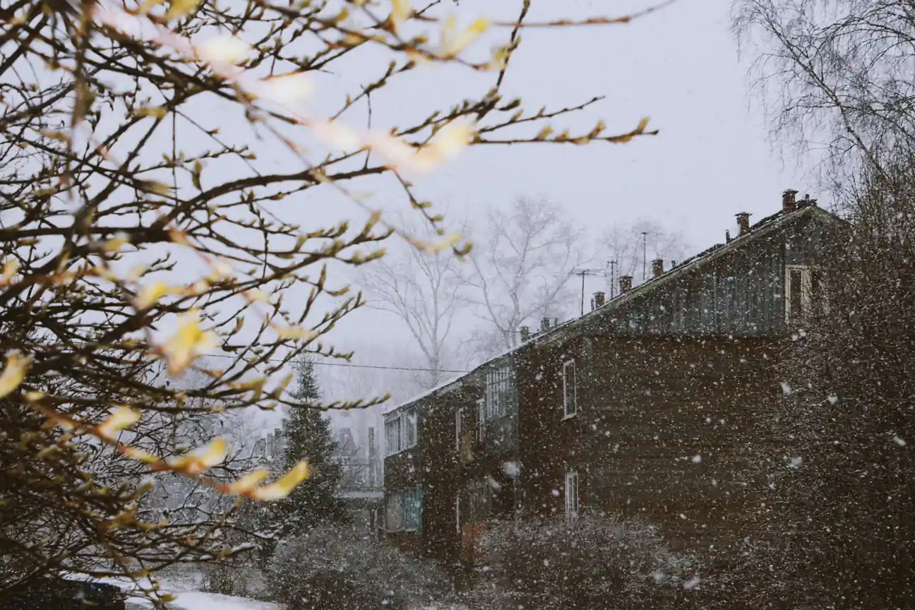 Winter (December to February) – Festive and Cozy