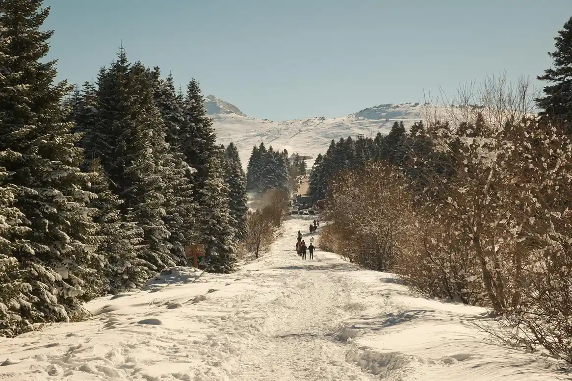Winter (December to February)