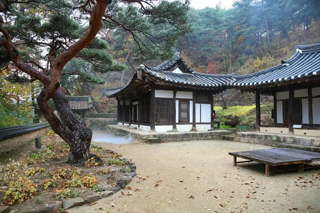 Andong Hahoe Folk Village Autumn and Culture