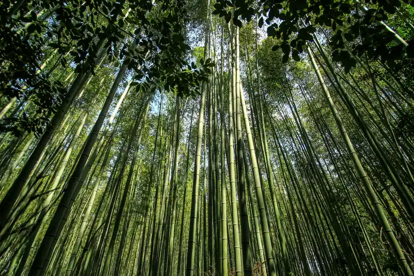 Spots in Japan
