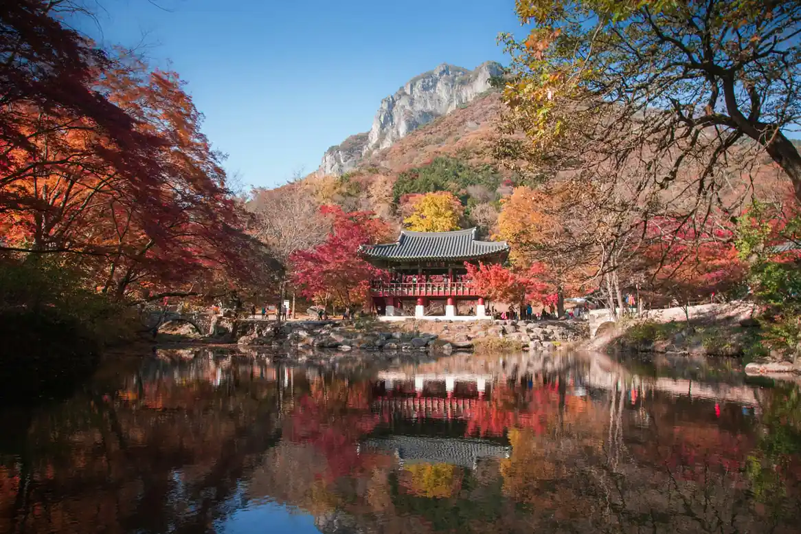 Autumn Destinations in South Korea