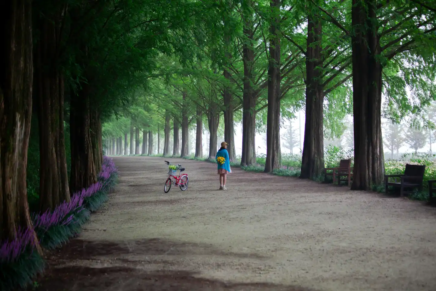 damyang – a nature lover’s haven