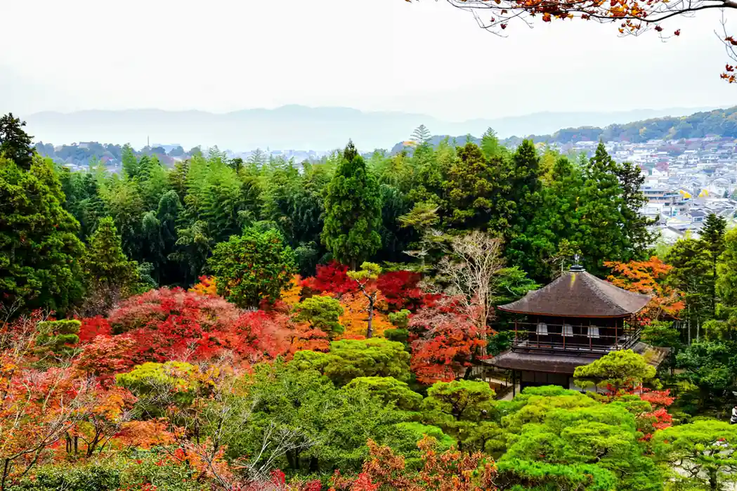 Japan 7-day itinerary