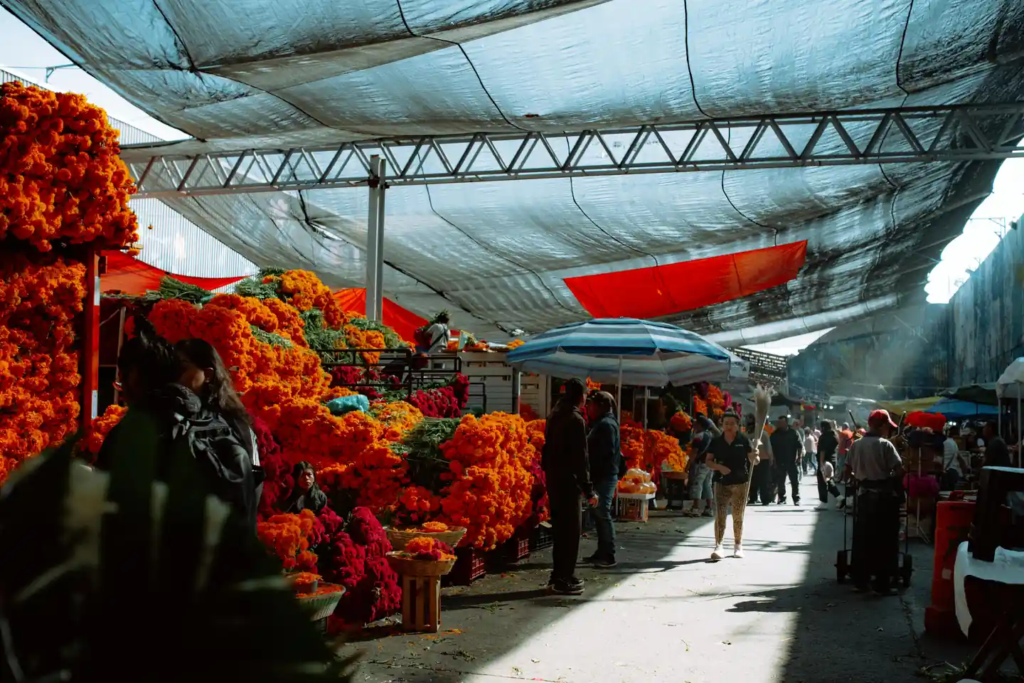 day 5 traditional markets and scenic views