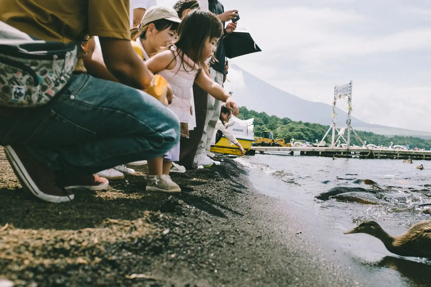 Activities to do in japan