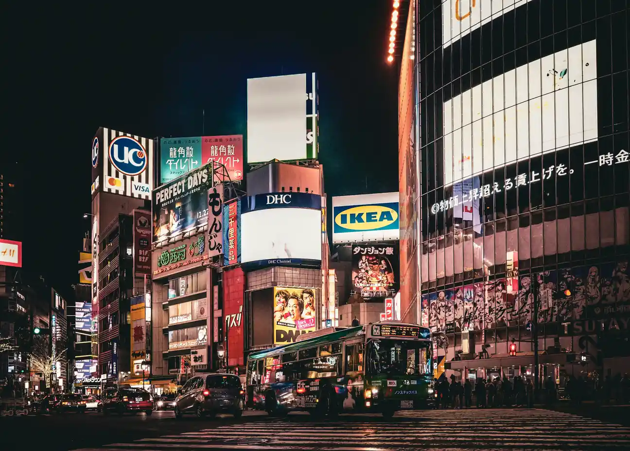 Japan Tourist Visa vs Business Visa