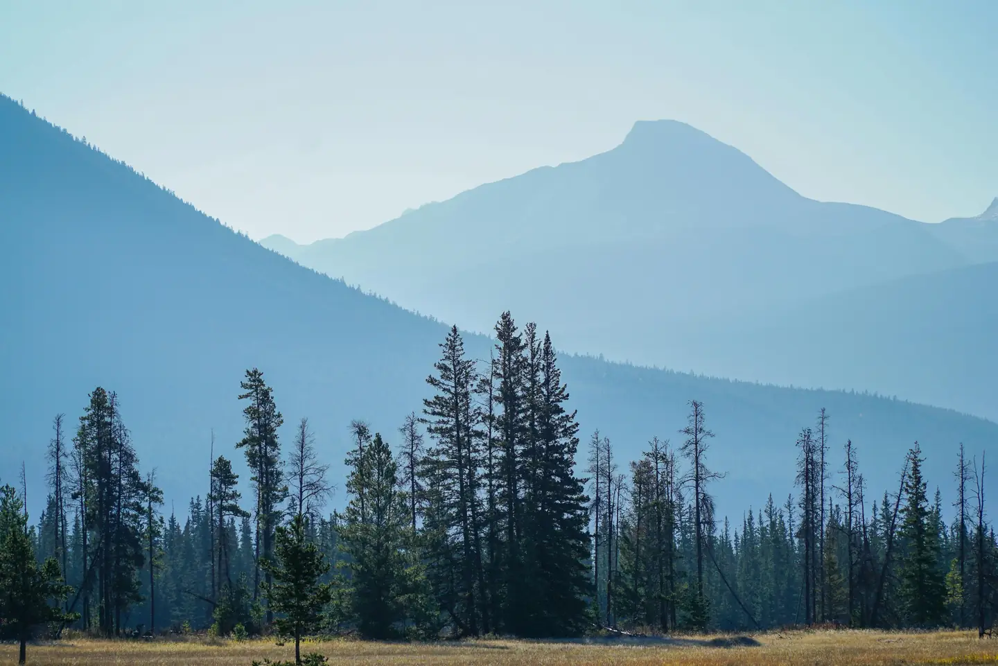 Jasper National Park, Alberta