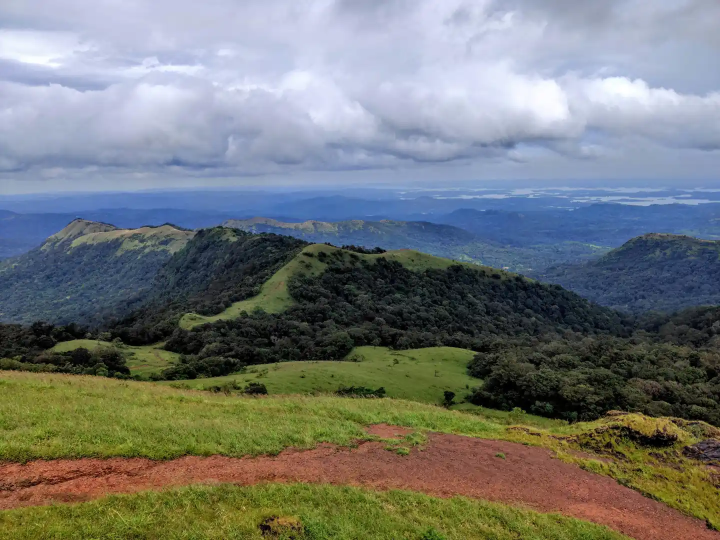 kodachadri trek karnataka - Wildflower Blooming Spots in India