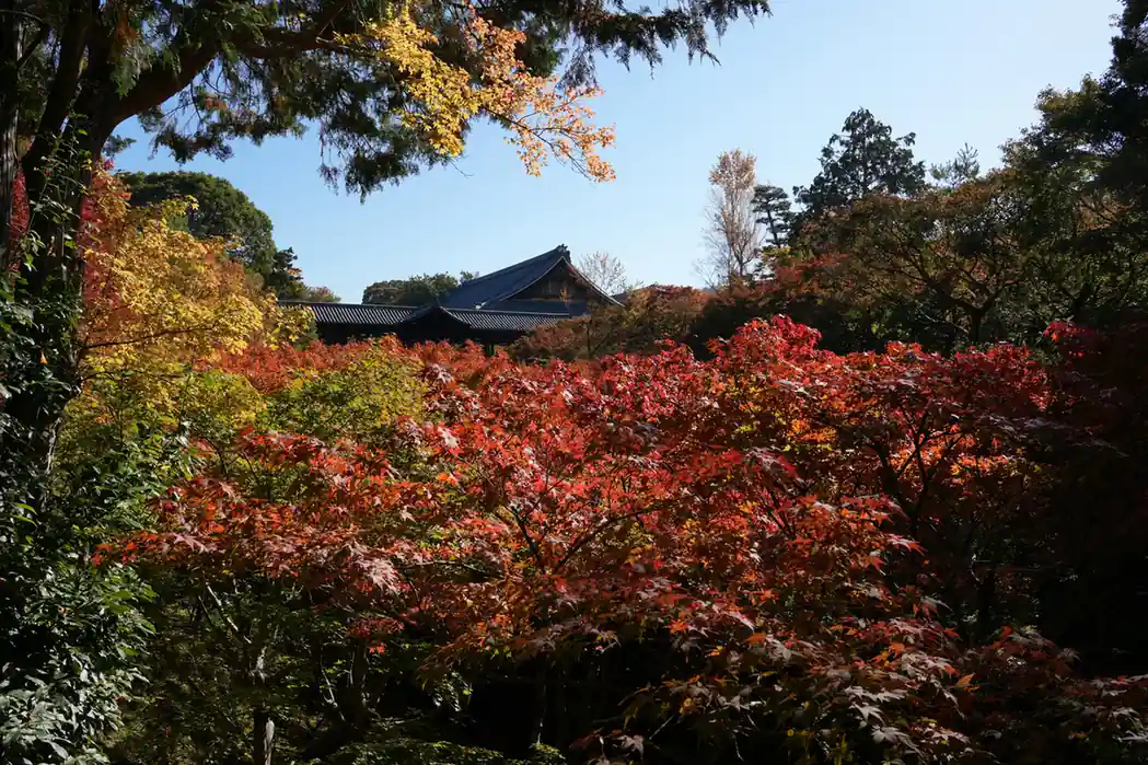 Places to Visit in Japan in October
