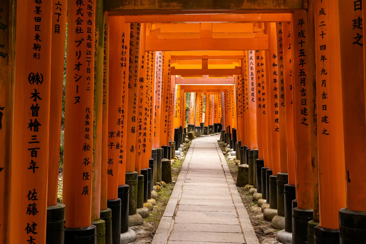 Japan cherry blossom festivals