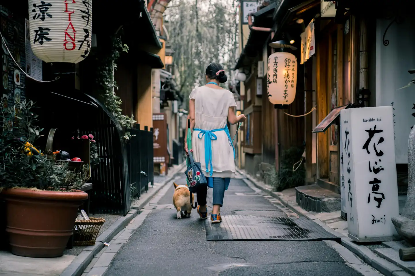 Japan travel tips for Indians