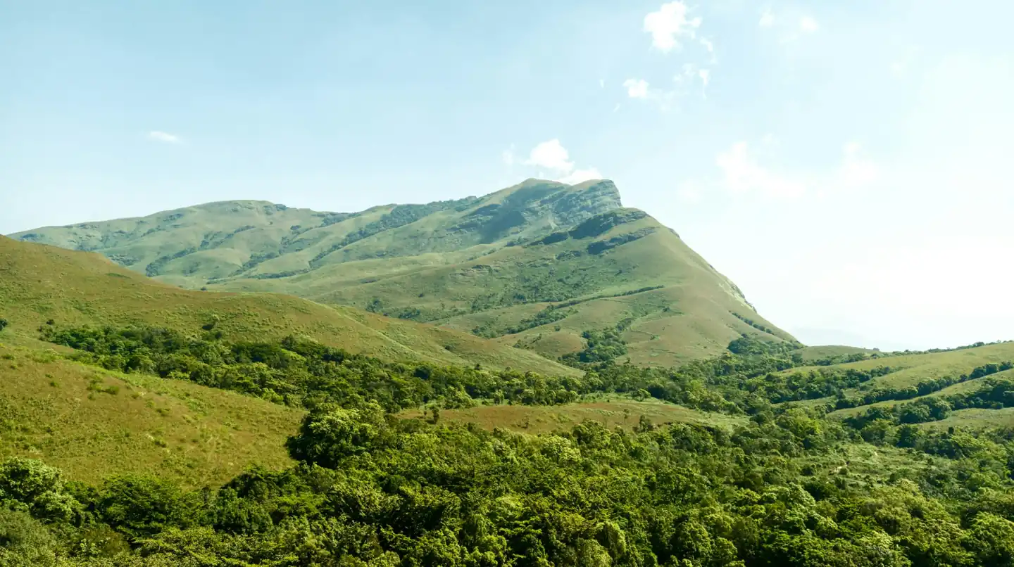 mullayanagiri trek karnataka