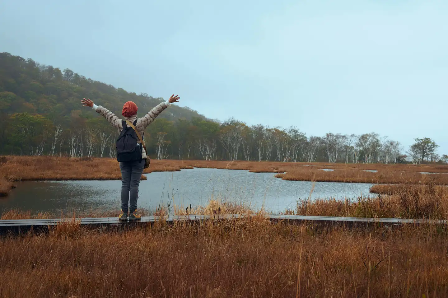 oze national park a wetland wonder
