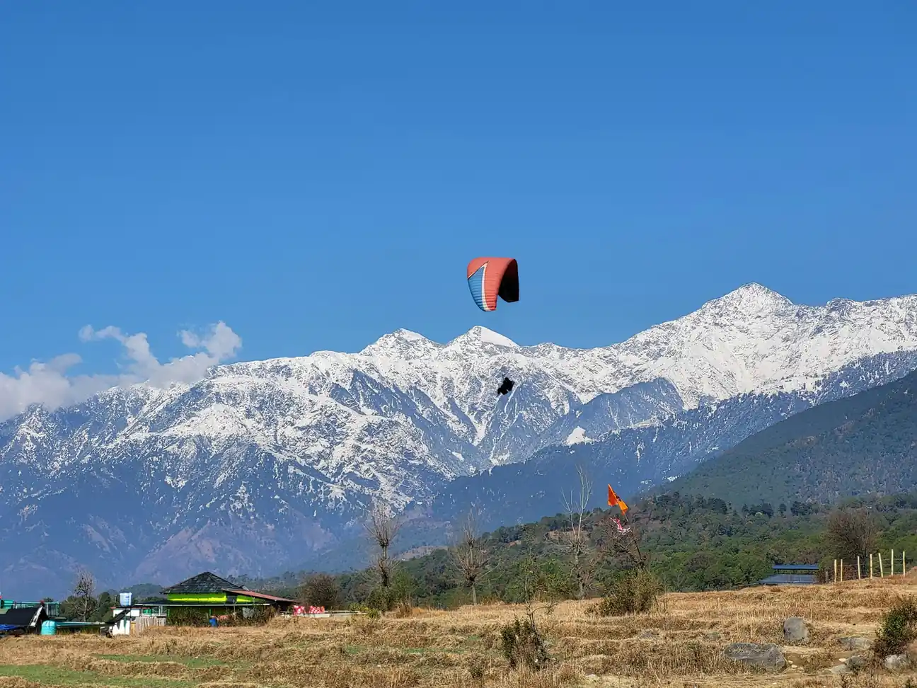 paragliding in bir billing himachal pradesh