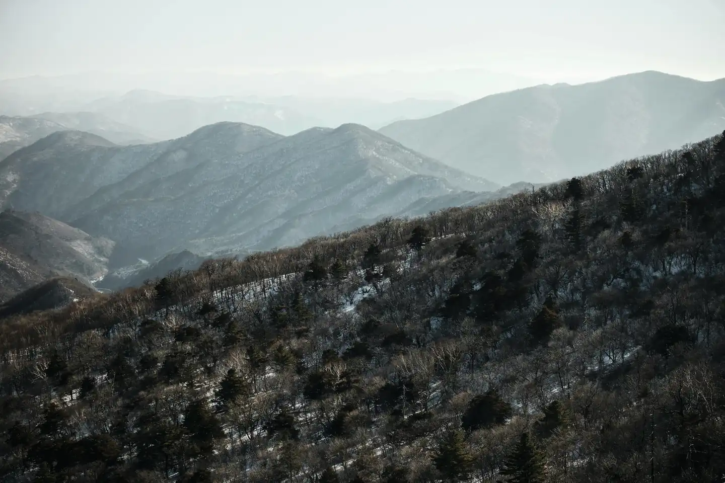 pyeongchang – winter wonderland
