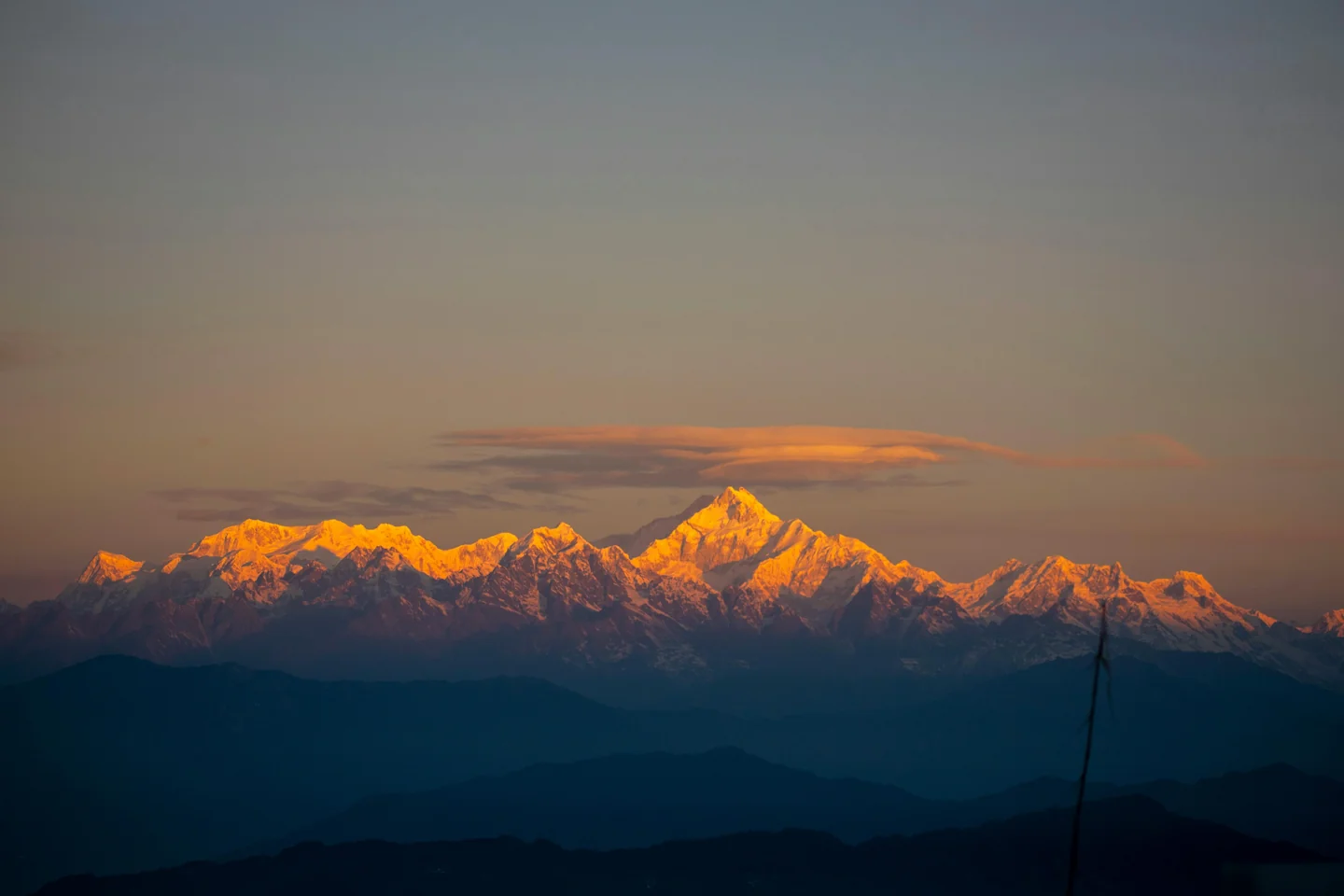 sandakphu trek west bengal - Wildflower Blooming Spots in India