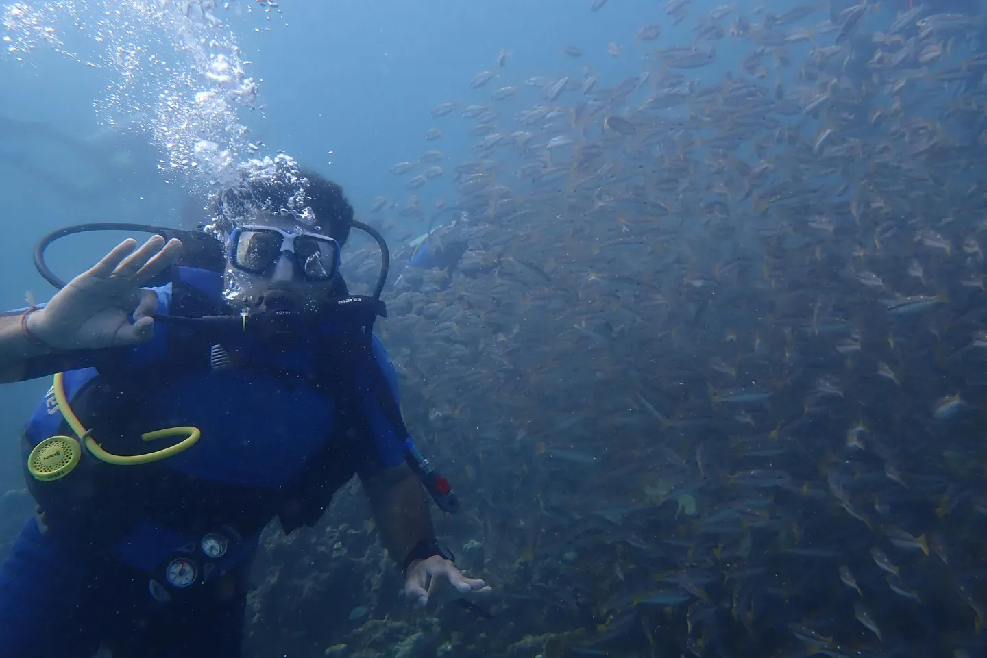 scuba diving in andaman and nicobar islands
