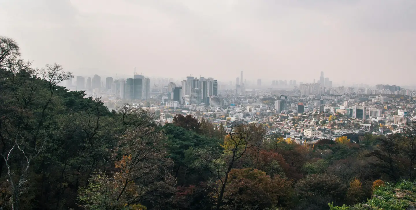 Seoul Forest -City Autumn Escapade