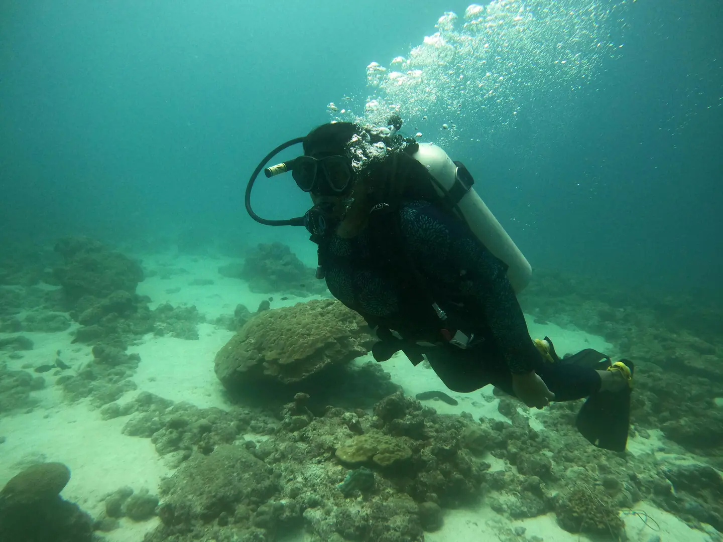 snorkeling in lakshadweep