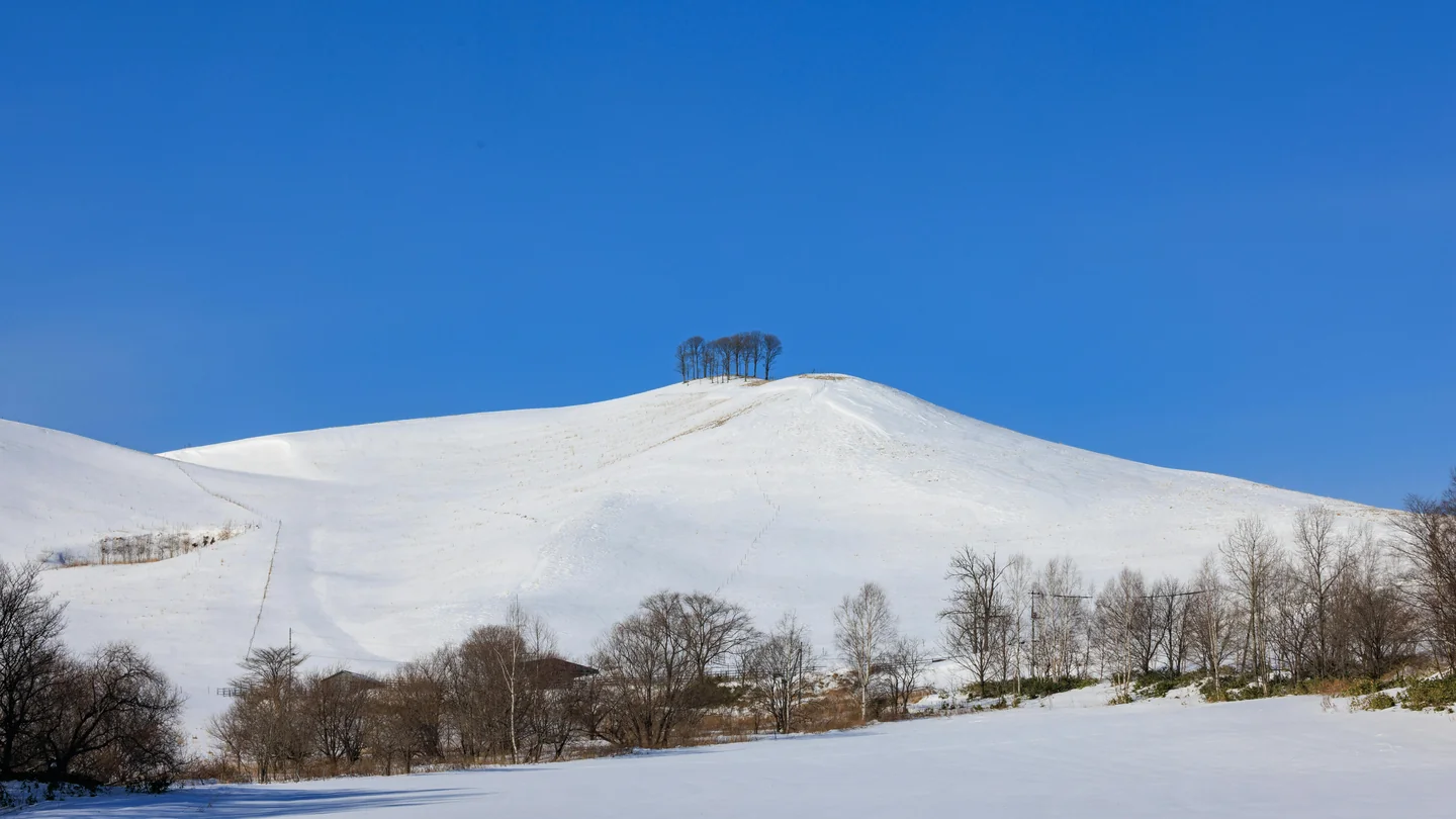 snow play in hokkaido – winter wonderland for all ages