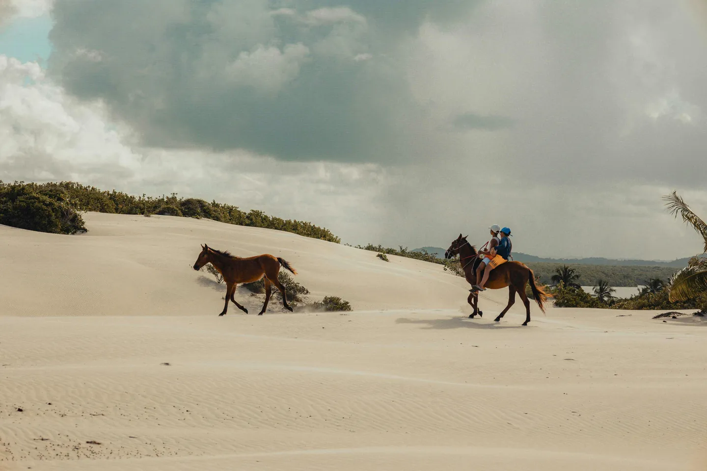 Table Land Horse Riding: A Fun Experience