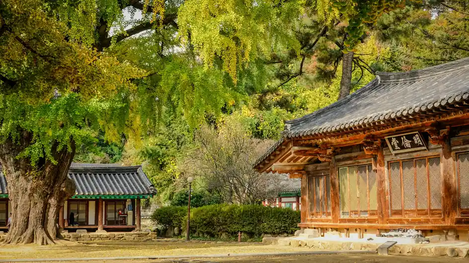 Things to Do in South Korea in October
