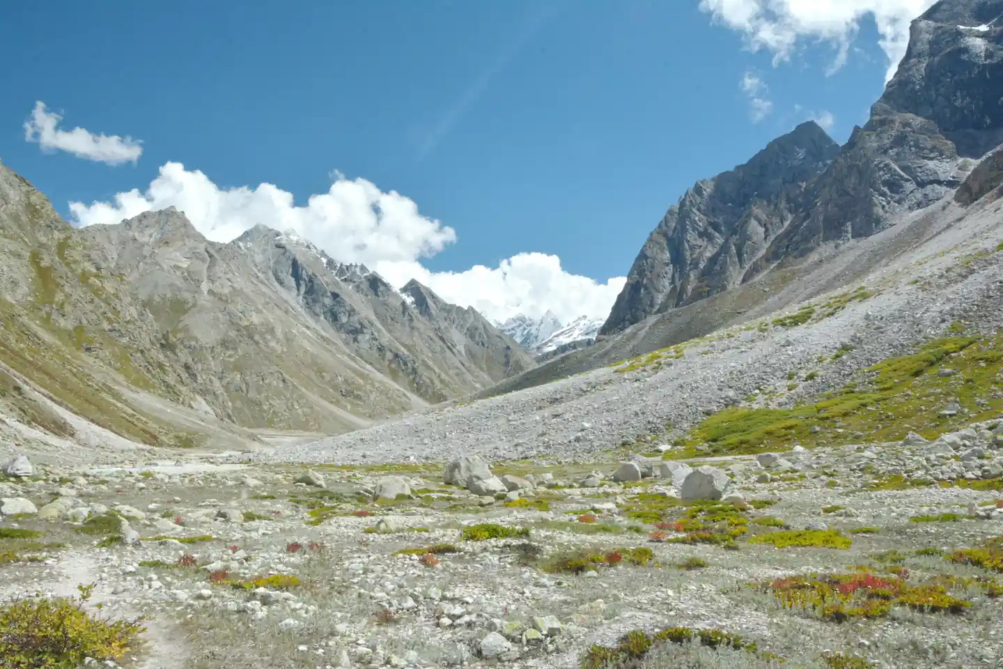 valley of flowers trek uttarakhand - Wildflower Blooming Spots in India